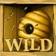 レギュラーワイルド